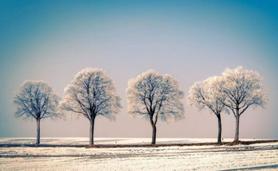 Analiza predmeta o valjanosti evropskog ‘soft law’ i proširenim ovlašćenjima Evropskog nadzornog tela za bankarstvo (EBA)