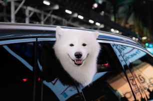 What is a copyright contract?