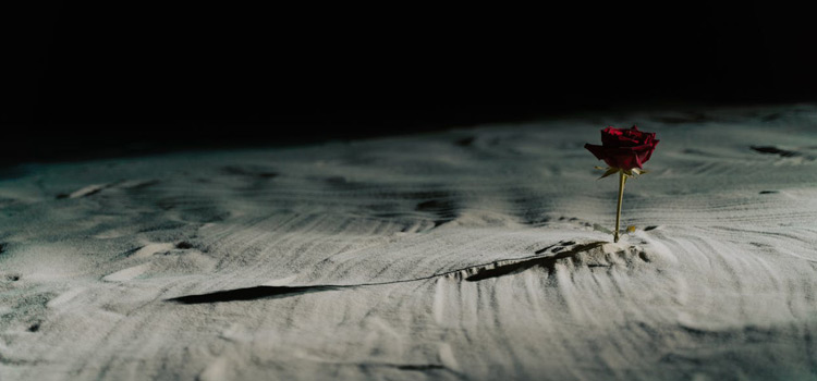 Intelektualna svojina advokat Beograd