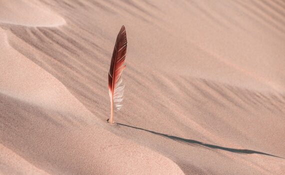 https://pixabay.com/photos/feather-dune-desert-sand-7452555/